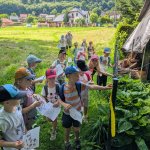 phoca_thumb_m_poklad zajci 16 Fotogalerie